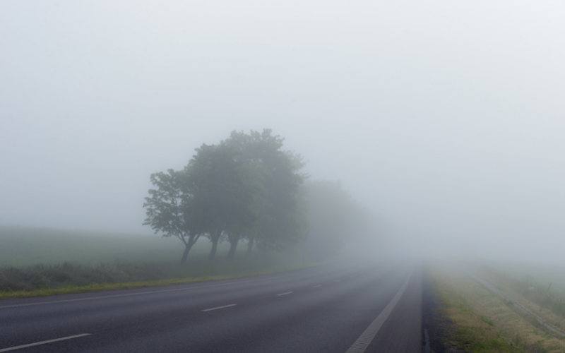 Conducir con niebla - carretera